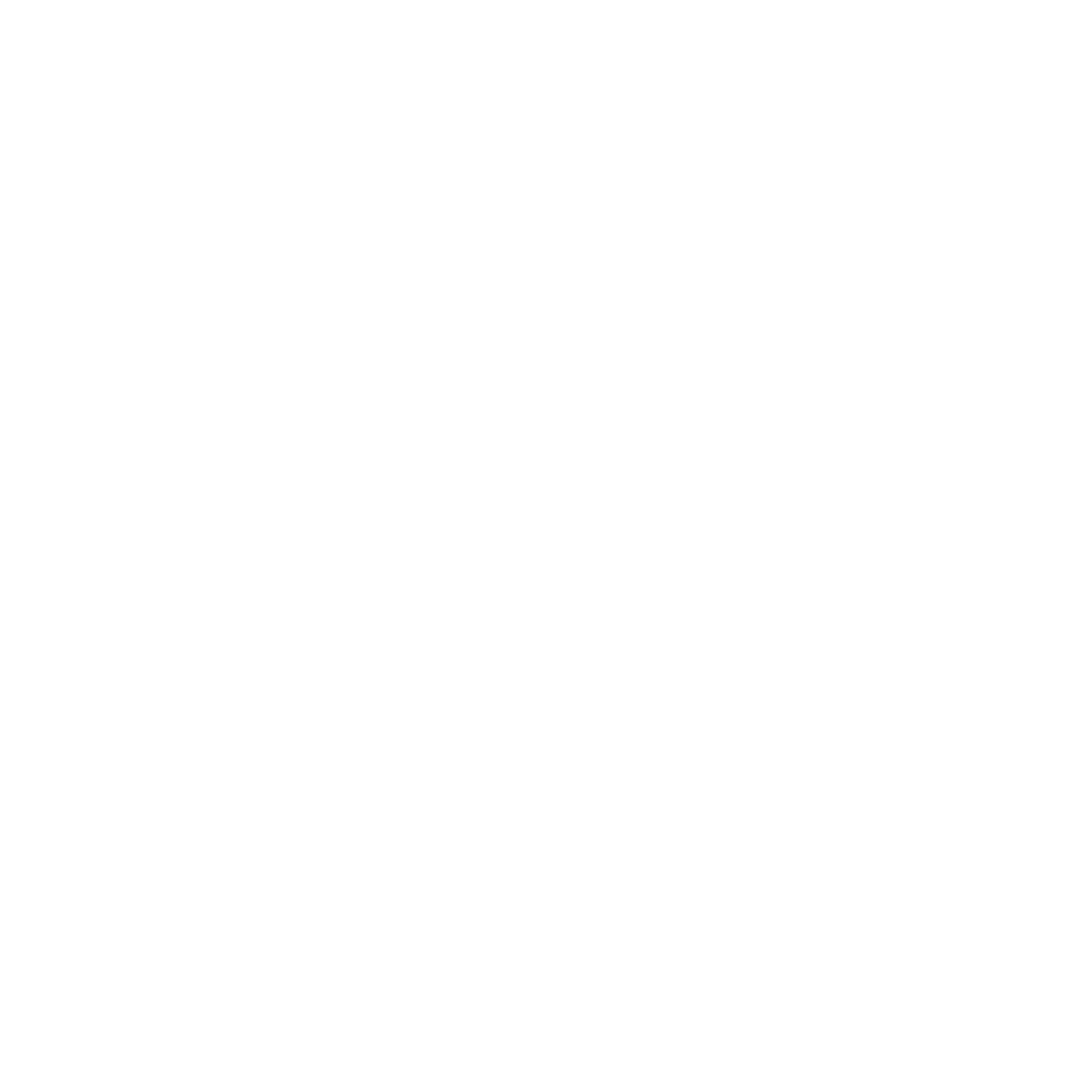 Pressure Bros, Professional Bin Cleaning